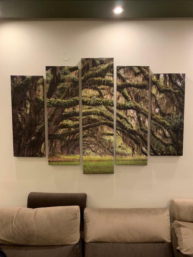 Thess Nature Apartment 塞萨洛尼基 外观 照片